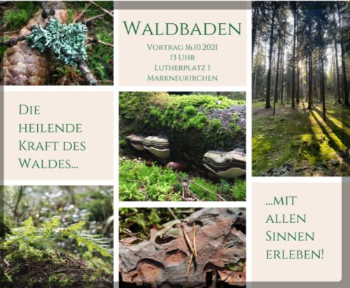 Waldbaden Arbor Vital Ergotherapie